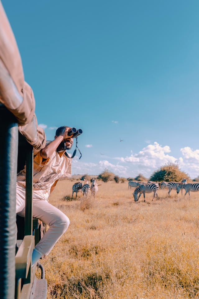 Safaris