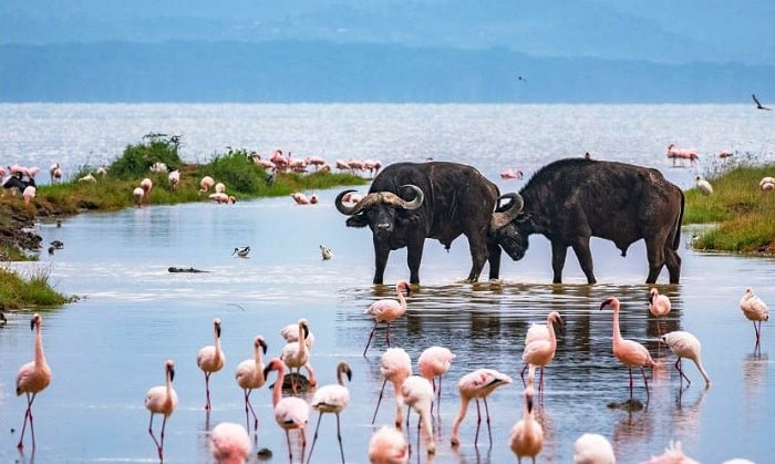 Okavango Delta